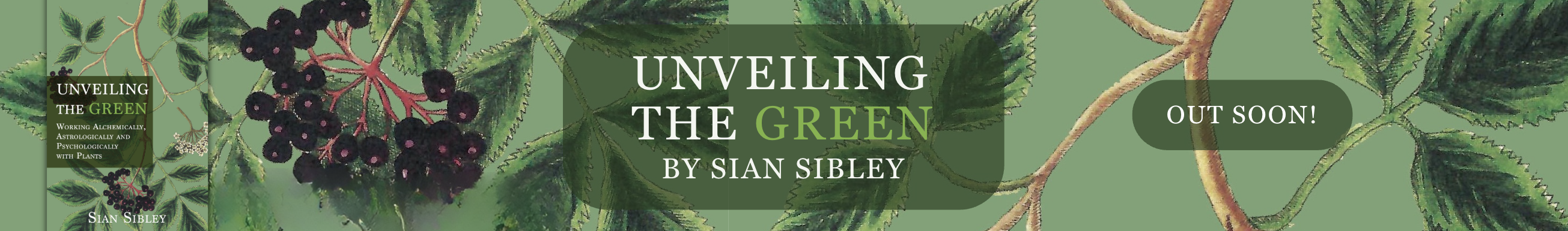Unveiling the Green - Out Soon